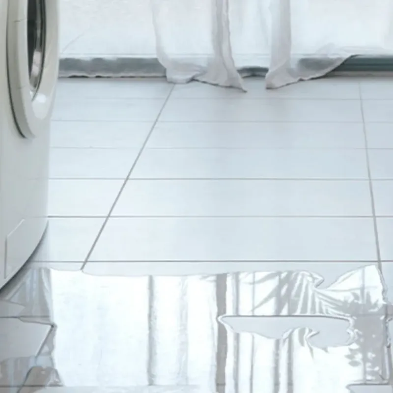 Appliance Leak Cleanup in Walkersville, MD