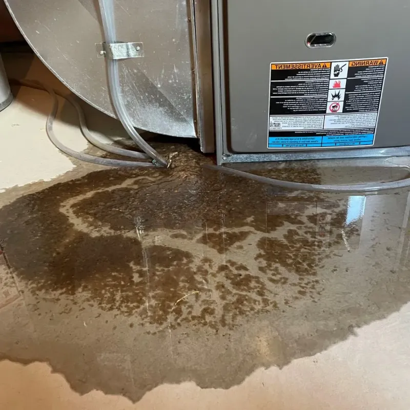 Pipe Burst and Leak Restoration in Walkersville, MD