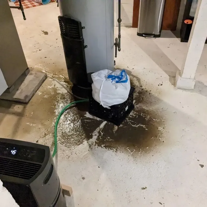 Sewage Backup Cleanup Service in Walkersville, MD